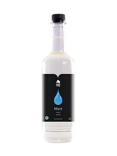 8 ml Health Today Mint Syrup